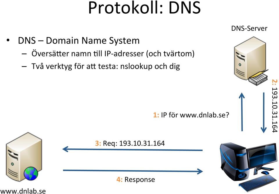 nslookup och dig DNS- Server 1: IP för www.dnlab.se?