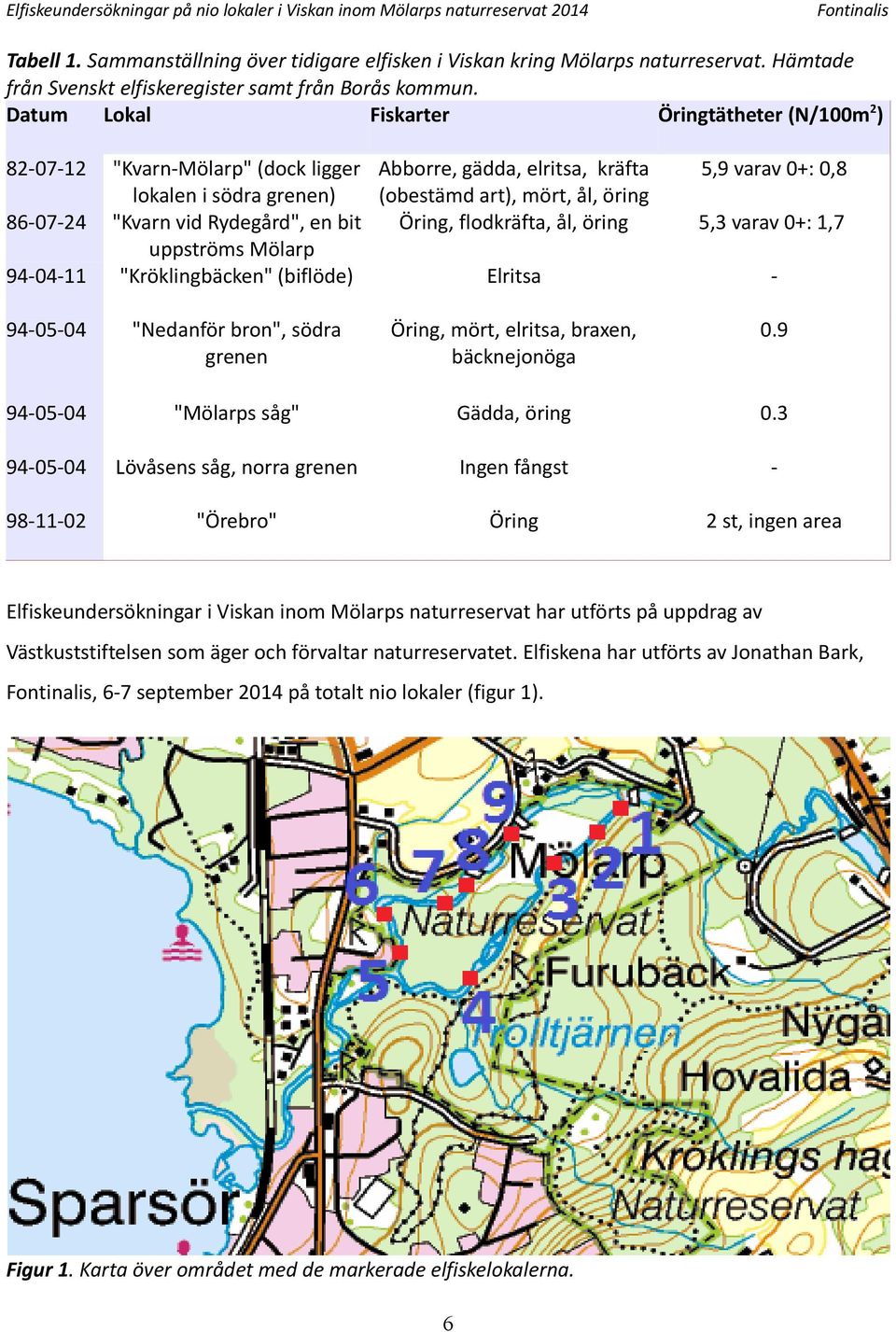 Datum Lokal Fiskarter Öringtätheter (N/m) 8-7- 86-7- 9-- "Kvarn-Mölarp" (dock ligger Abborre, gädda, elritsa, kräfta lokalen i södra grenen) (obestämd art), mört, ål, öring "Kvarn vid Rydegård", en