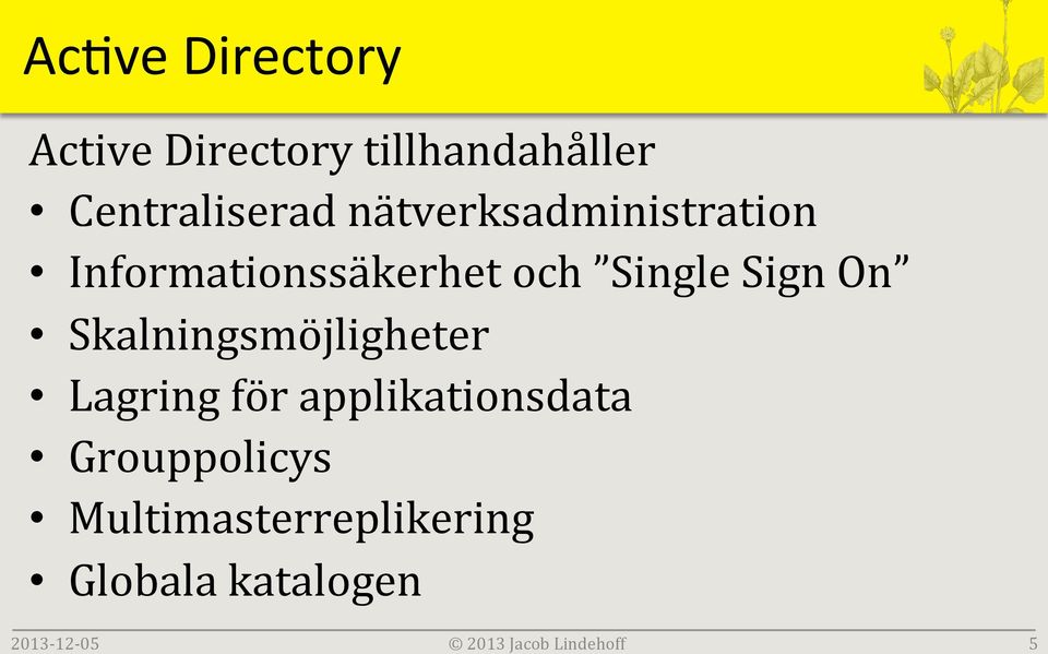 Informationssäkerhet och Single Sign On Skalningsmöjligheter