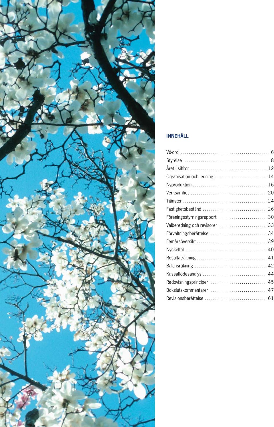 .. 30 Valberedning och revisorer... 33 Förvaltningsberättelse... 34 Femårsöversikt.... 39 Nyckeltal.