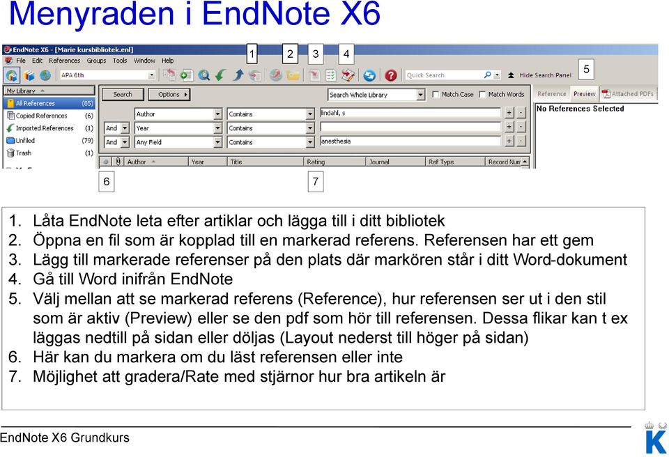 Välj mellan att se markerad referens (Reference), hur referensen ser ut i den stil som är aktiv (Preview) eller se den pdf som hör till referensen.