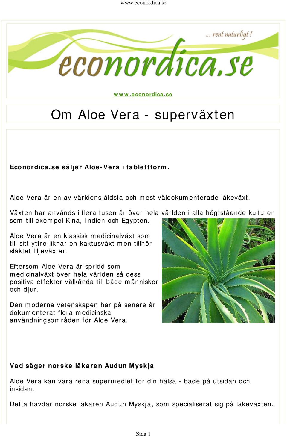 Aloe Vera är en klassisk medicinalväxt som till sitt yttre liknar en kaktusväxt men tillhör släktet liljeväxter.