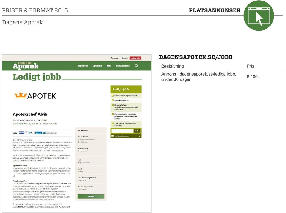 SE/JOBB Beskrivning Annons i