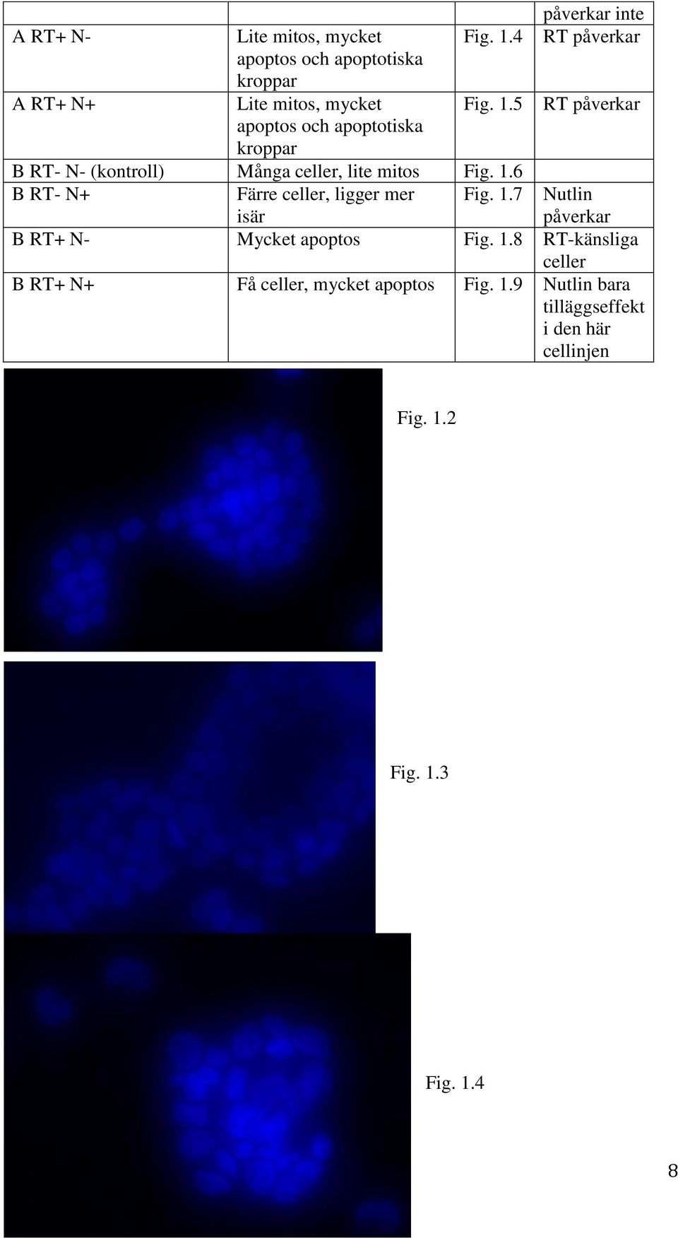 5 apoptos och apoptotiska kroppar B RT- N- (kontroll) Många celler, lite mitos Fig. 1.
