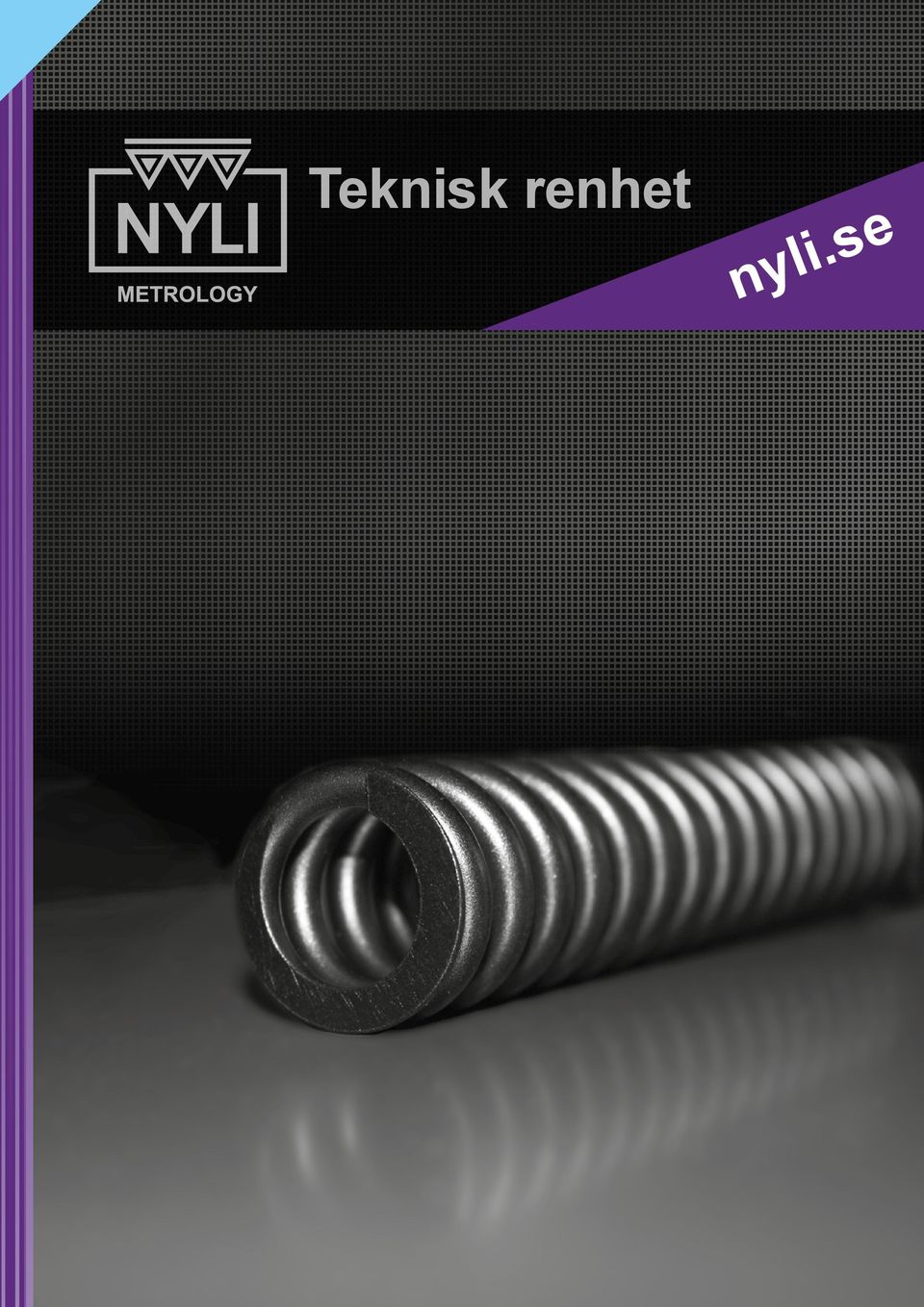 nyli.se