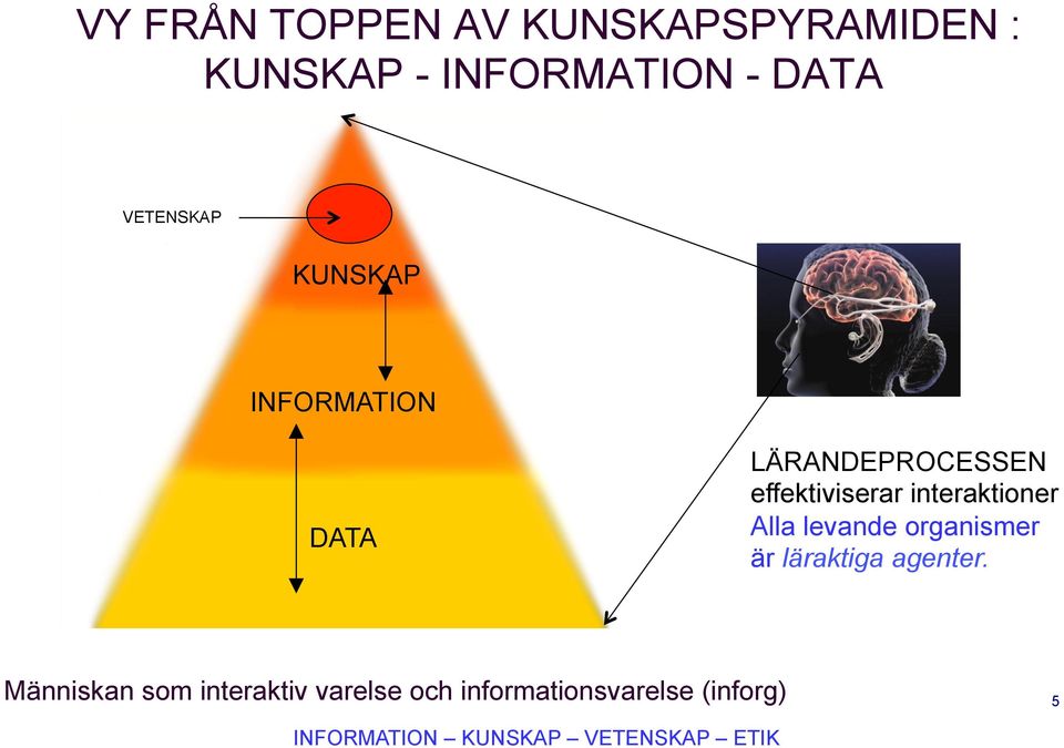 interaktioner Alla levande organismer är läraktiga agenter.