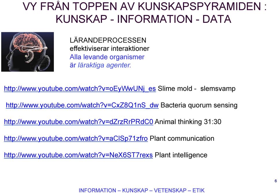youtube.com/watch?v=dzrzrrprdc0 Animal thinking 31:30 http://www.youtube.com/watch?v=aclsp71zfro Plant communication http://www.