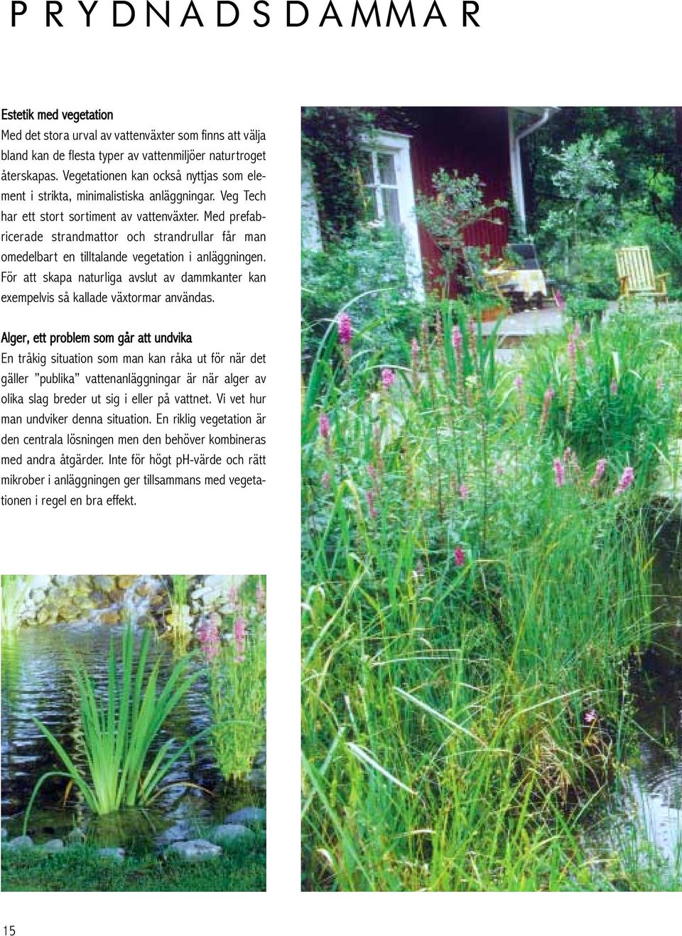 Med prefabricerade strandmattor och strandrullar får man omedelbart en tilltalande vegetation i anläggningen. För att skapa naturliga avslut av dammkanter kan exempelvis så kallade växtormar användas.