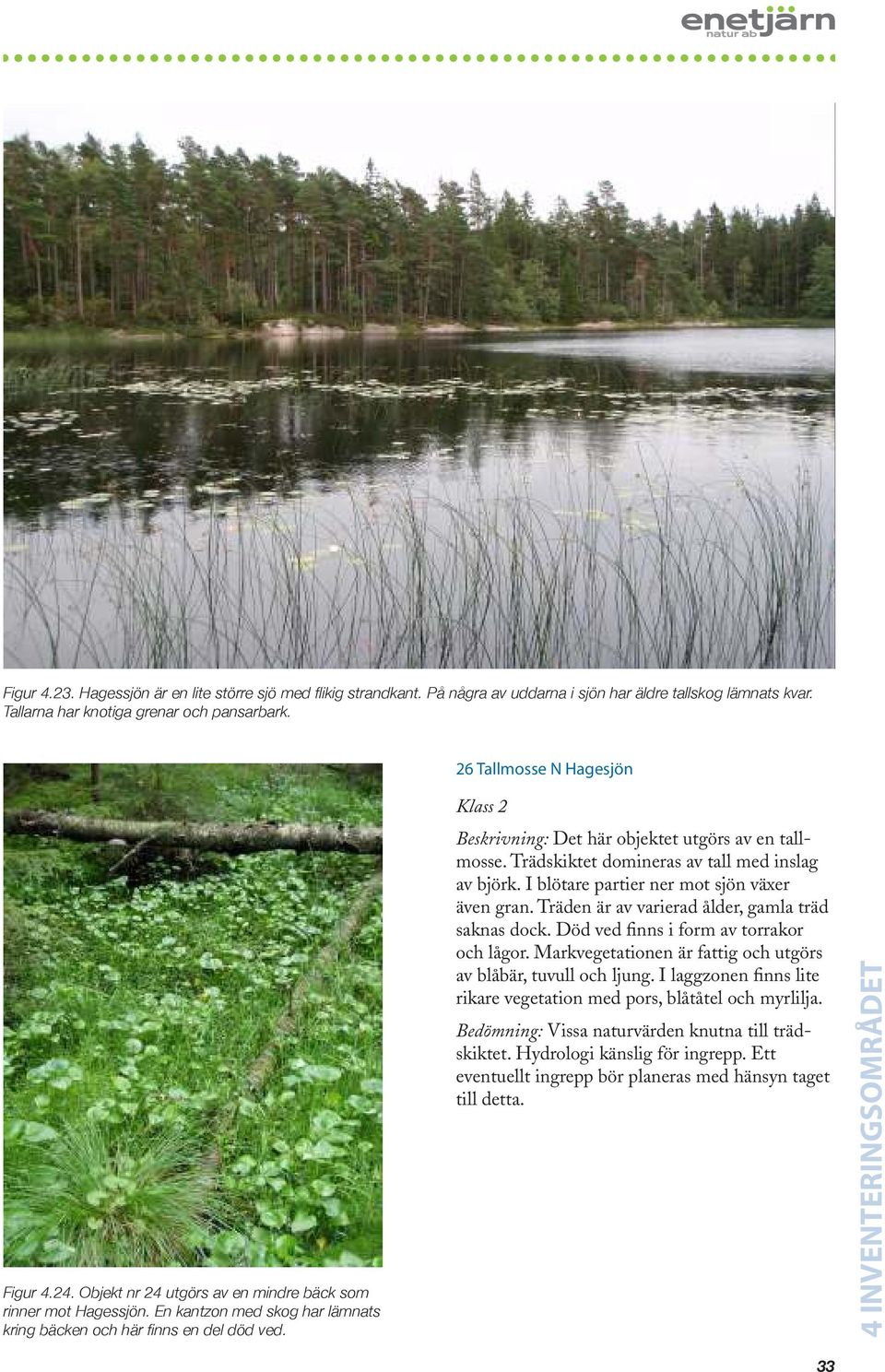 Träden är av varierad ålder, gamla träd saknas dock. Död ved finns i form av torrakor och lågor. Markvegetationen är fattig och utgörs av blåbär, tuvull och ljung.