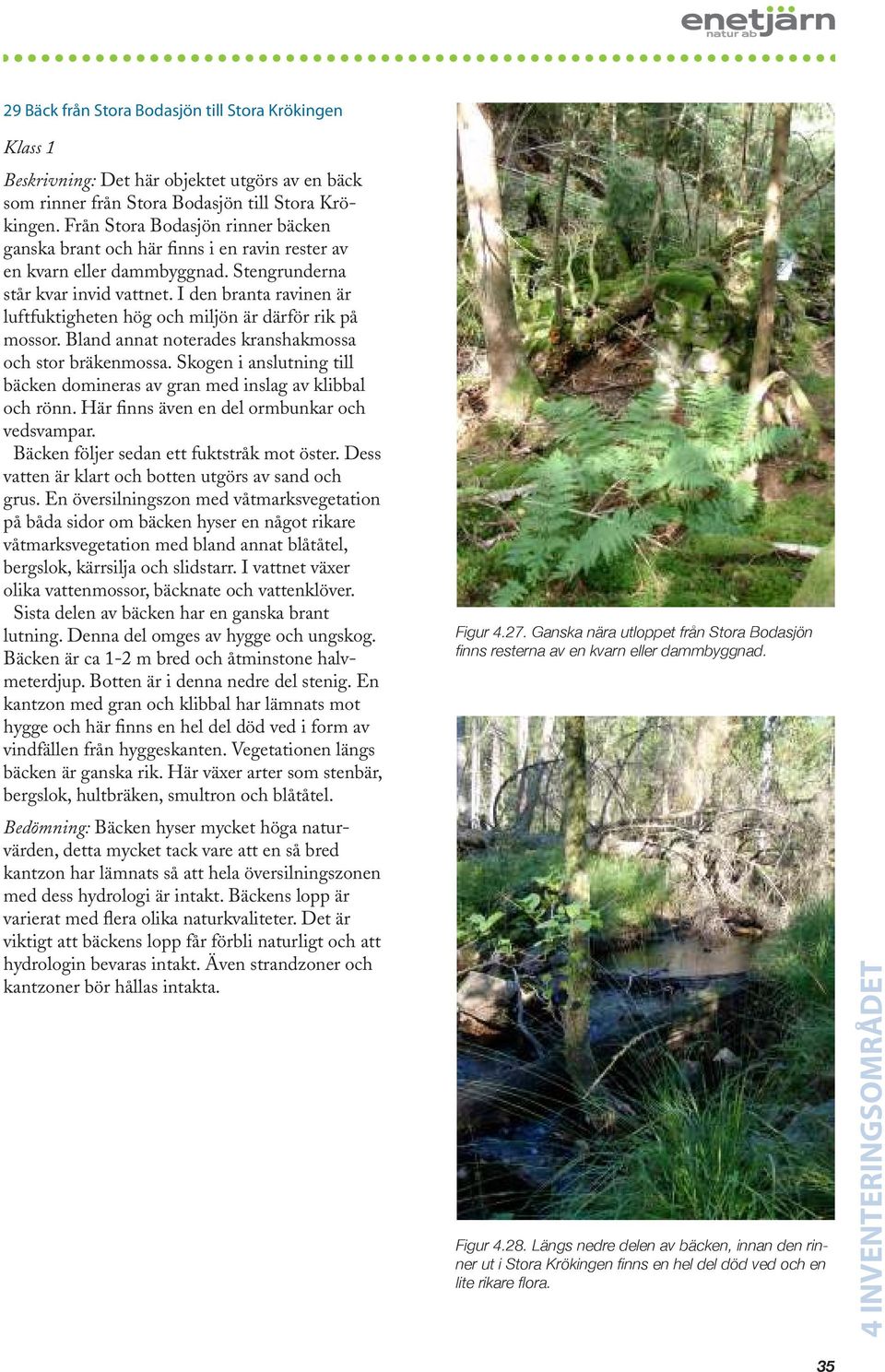 I den branta ravinen är luftfuktigheten hög och miljön är därför rik på mossor. Bland annat noterades kranshakmossa och stor bräkenmossa.