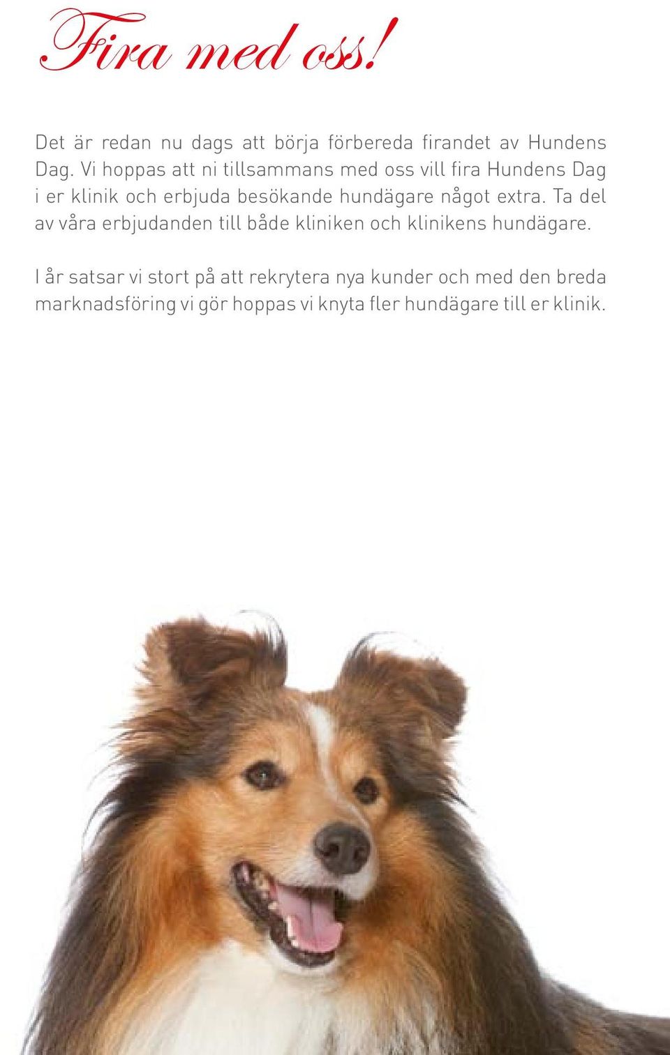 hundägare något extra. Ta del av våra erbjudanden till både kliniken och klinikens hundägare.