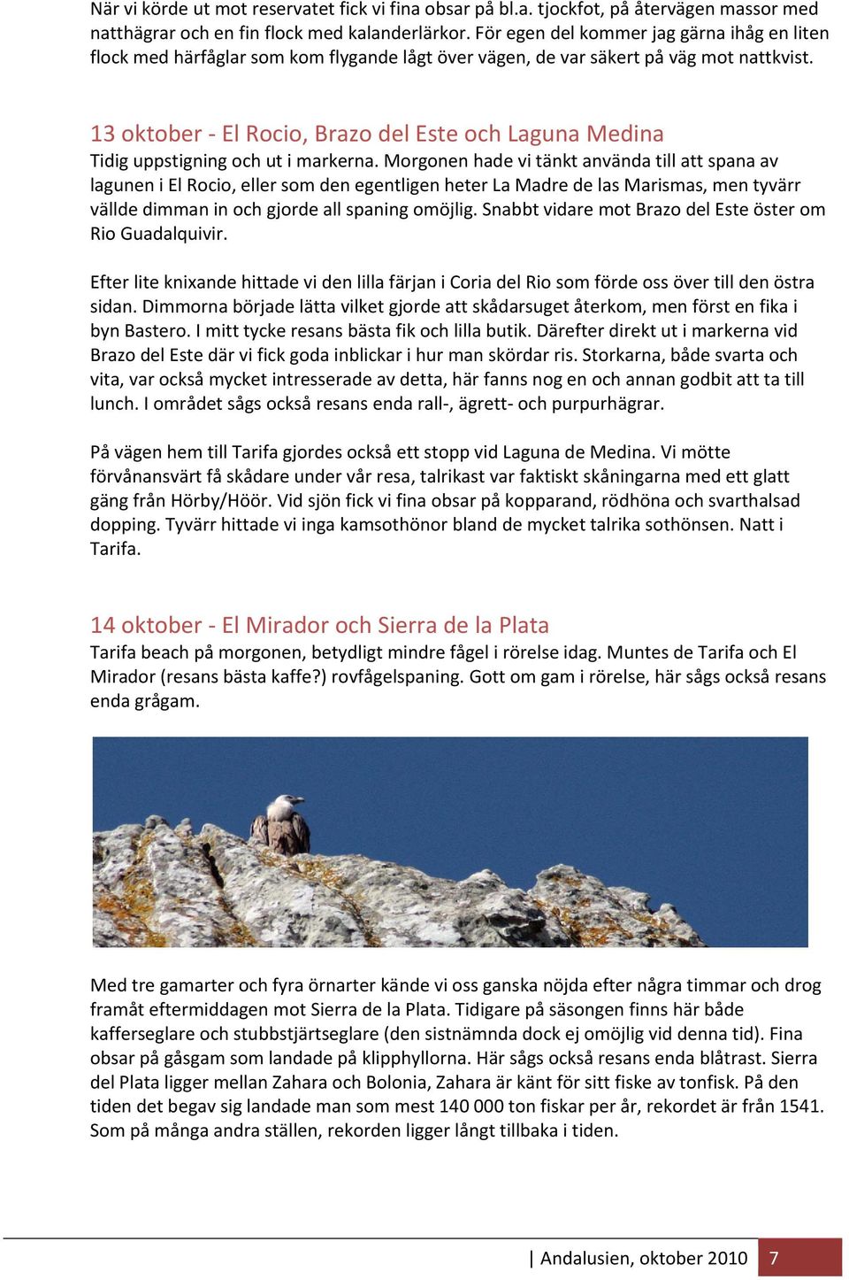 13 oktober El Rocio, Brazo del Este och Laguna Medina Tidig uppstigning och ut i markerna.