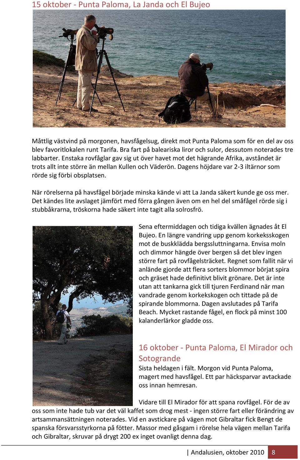 Enstaka rovfåglar gav sig ut över havet mot det hägrande Afrika, avståndet är trots allt inte större än mellan Kullen och Väderön. Dagens höjdare var 2 3 iltärnor som rörde sig förbi obsplatsen.