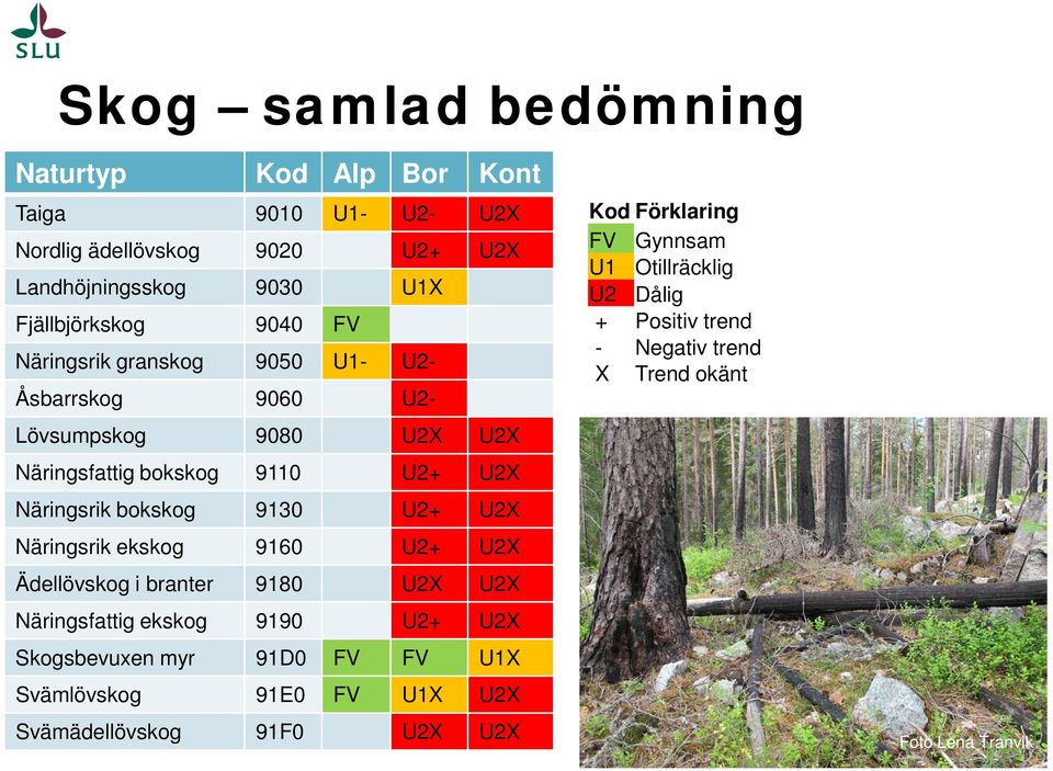 Näringsrik ekskog 9160 U2+ U2X Ädellövskog i branter 9180 U2X U2X Näringsfattig ekskog 9190 U2+ U2X Skogsbevuxen myr 91D0 FV FV U1X Svämlövskog 91E0