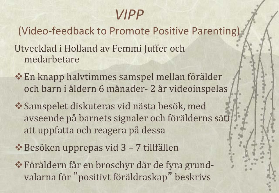 vid nästa besök, med avseende på barnets signaler och förälderns sätt att uppfatta och reagera på dessa