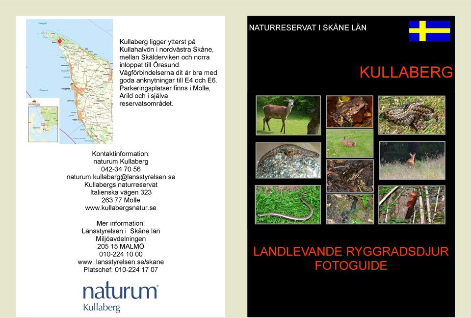 KULLABERG Kontaktinformation: naturum Kullaberg 042-34 70 56 naturum.kullaberg@lansstyrelsen.se Italienska vägen 323 263 77 Mölle www.kullabergsnatur.