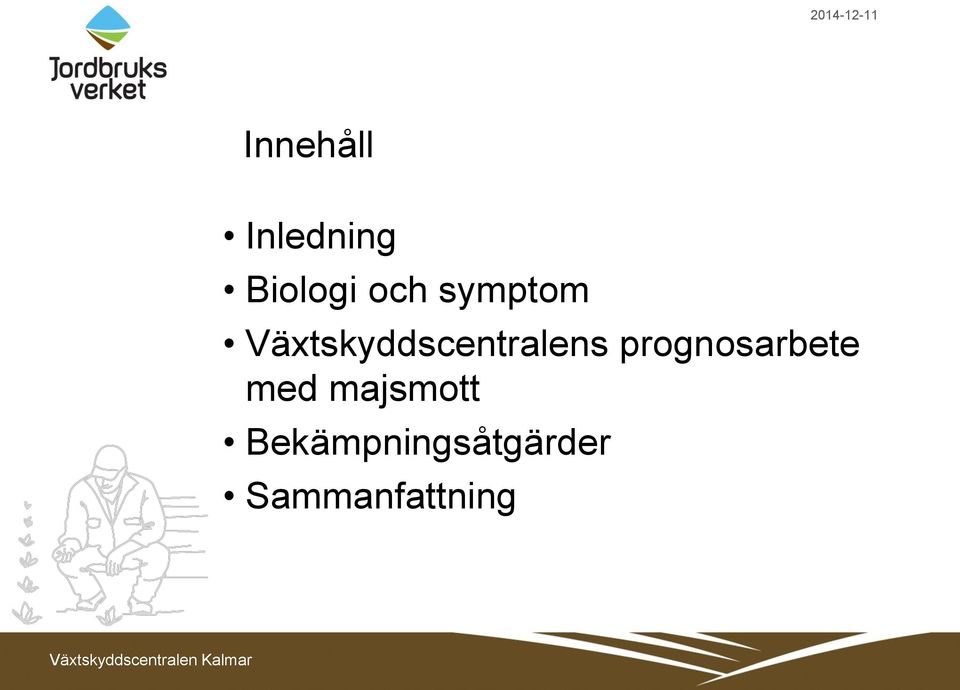 prognosarbete med majsmott