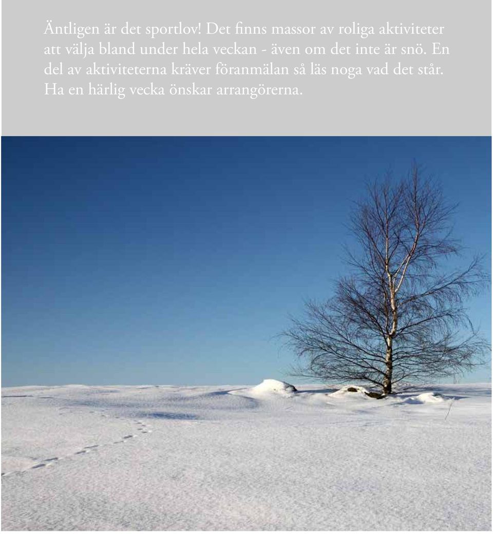 under hela veckan - även om det inte är snö.