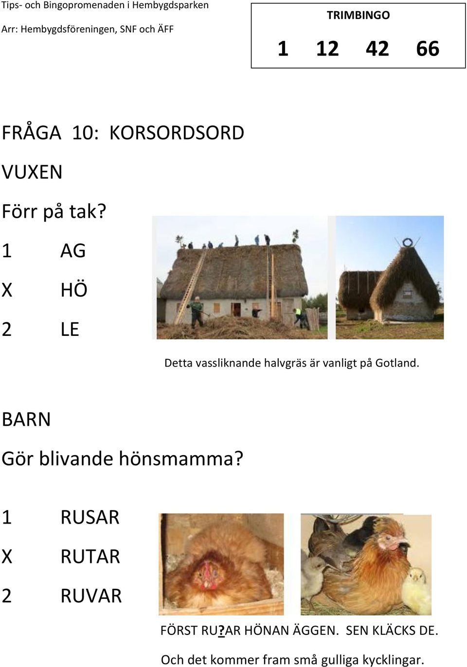 BARN Gör blivande hönsmamma? 1 RUSAR RUTAR 2 RUVAR FÖRST RU?