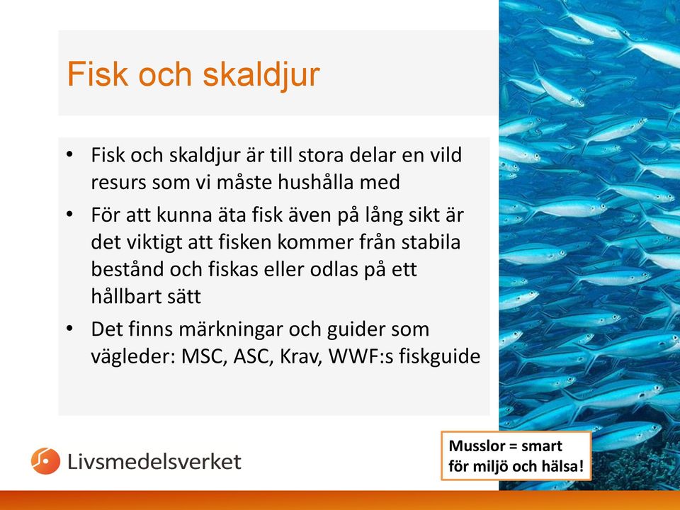 från stabila bestånd och fiskas eller odlas på ett hållbart sätt Det finns märkningar