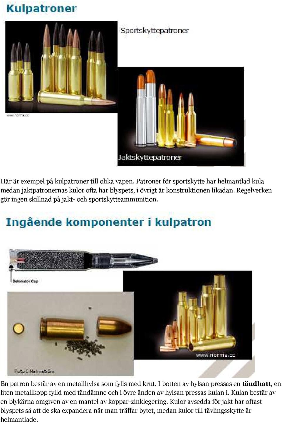 Regelverken gör ingen skillnad på jakt- och sportskytteammunition. En patron består av en metallhylsa som fylls med krut.