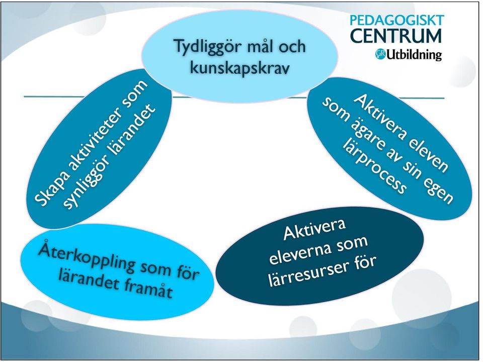 mål och kunskapskrav Aktivera eleven som ägare