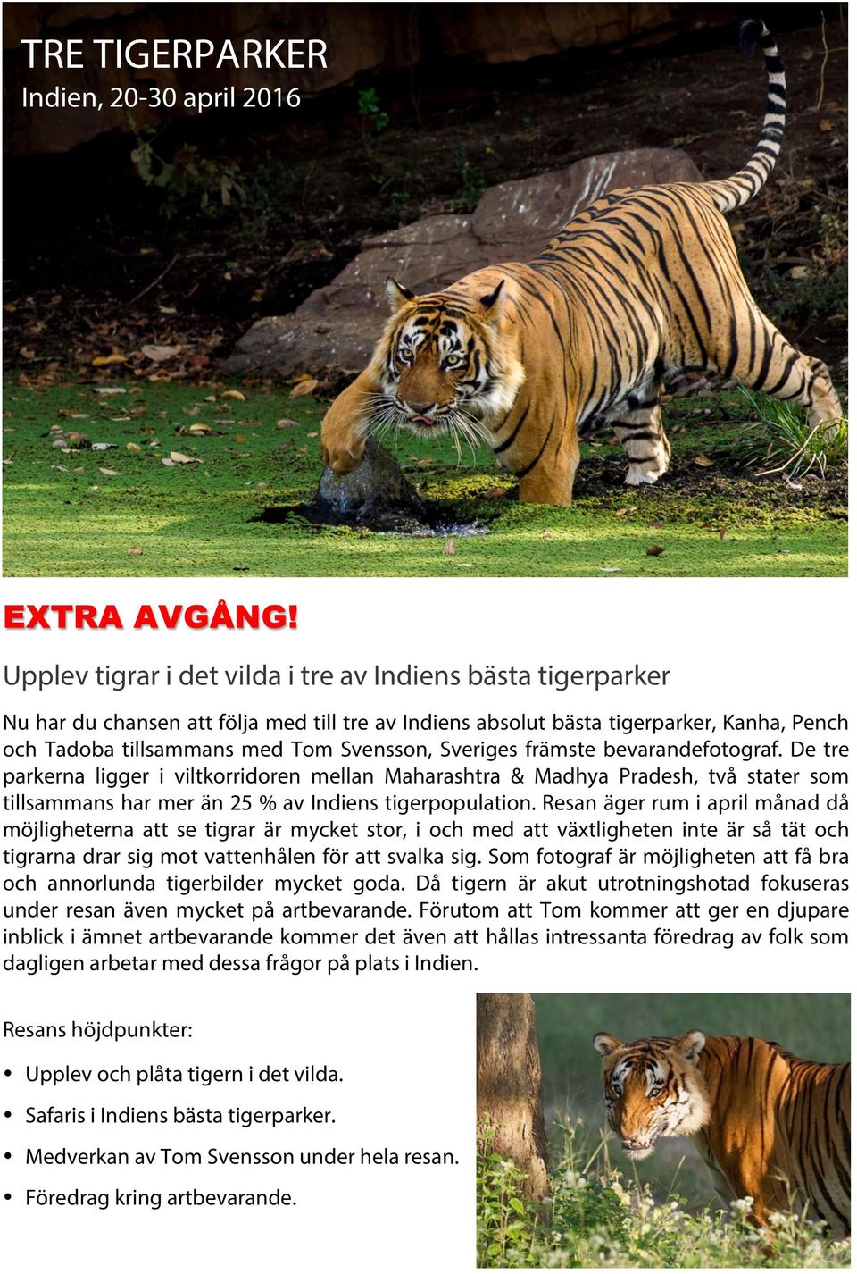 Sveriges främste bevarandefotograf. De tre parkerna ligger i viltkorridoren mellan Maharashtra & Madhya Pradesh, två stater som tillsammans har mer än 25 % av Indiens tigerpopulation.