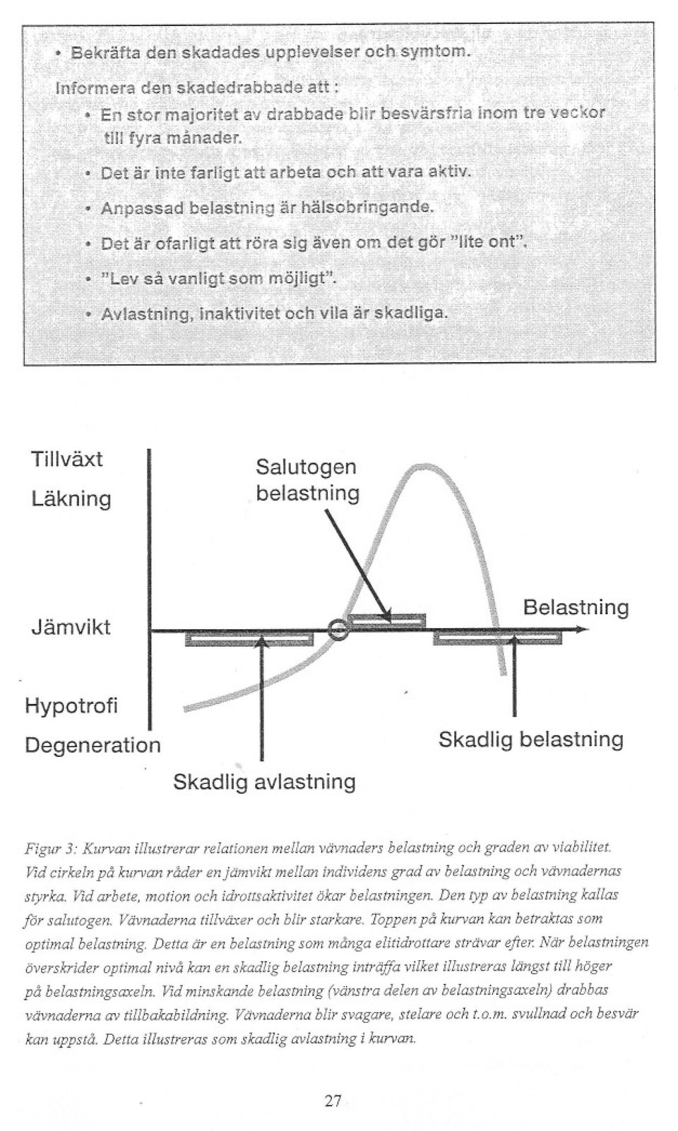 Den typ av belastning kallas för salutogen. Vävnaderna tillväxer och blir starkare. Toppen på kurvan kan betraktas som optimal belastning. Detta är en belastning som många elitidrottare strävar efter.