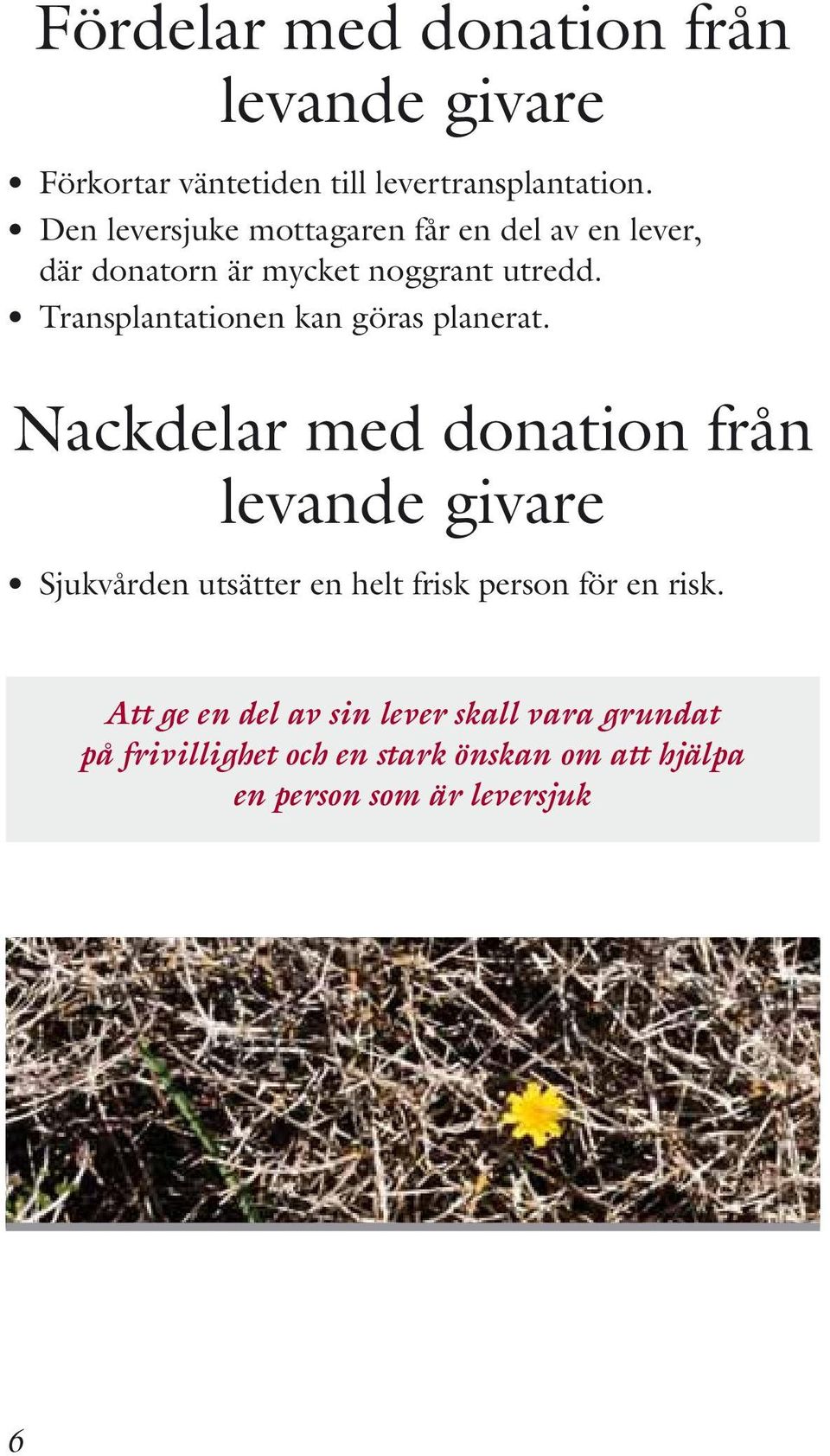 Transplantationen kan göras planerat.