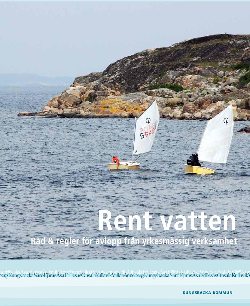 från yrkesmässig