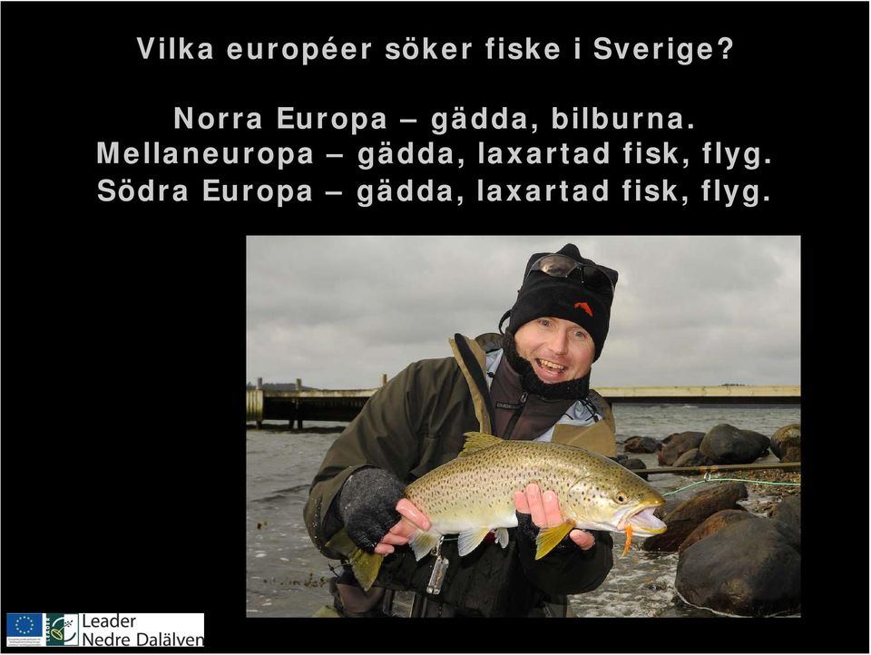 Mellaneuropa gädda, laxartad fisk,