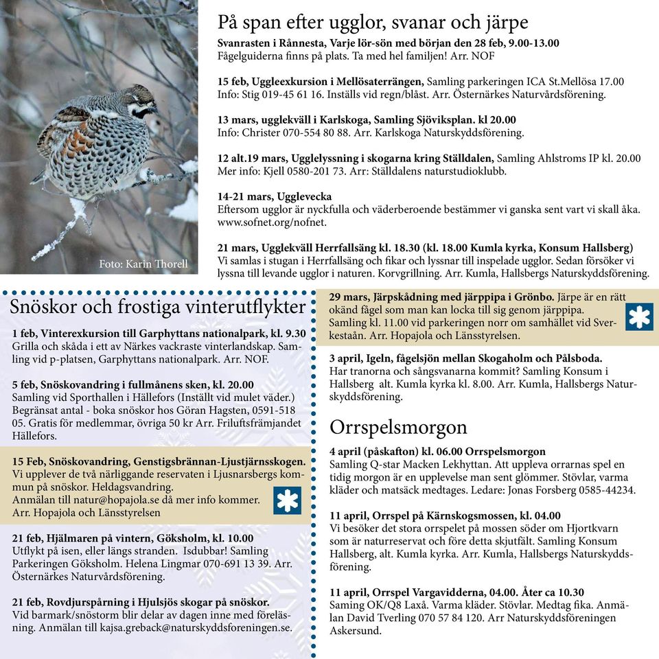 13 mars, ugglekväll i Karlskoga, Samling Sjöviksplan. kl 20.00 Info: Christer 070-554 80 88. Arr. Karlskoga Naturskyddsförening. 12 alt.