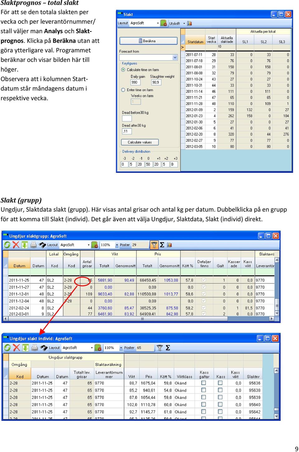 Observera att i kolumnen Startdatum står måndagens datum i respektive vecka. Slakt (grupp) Ungdjur, Slaktdata slakt (grupp).