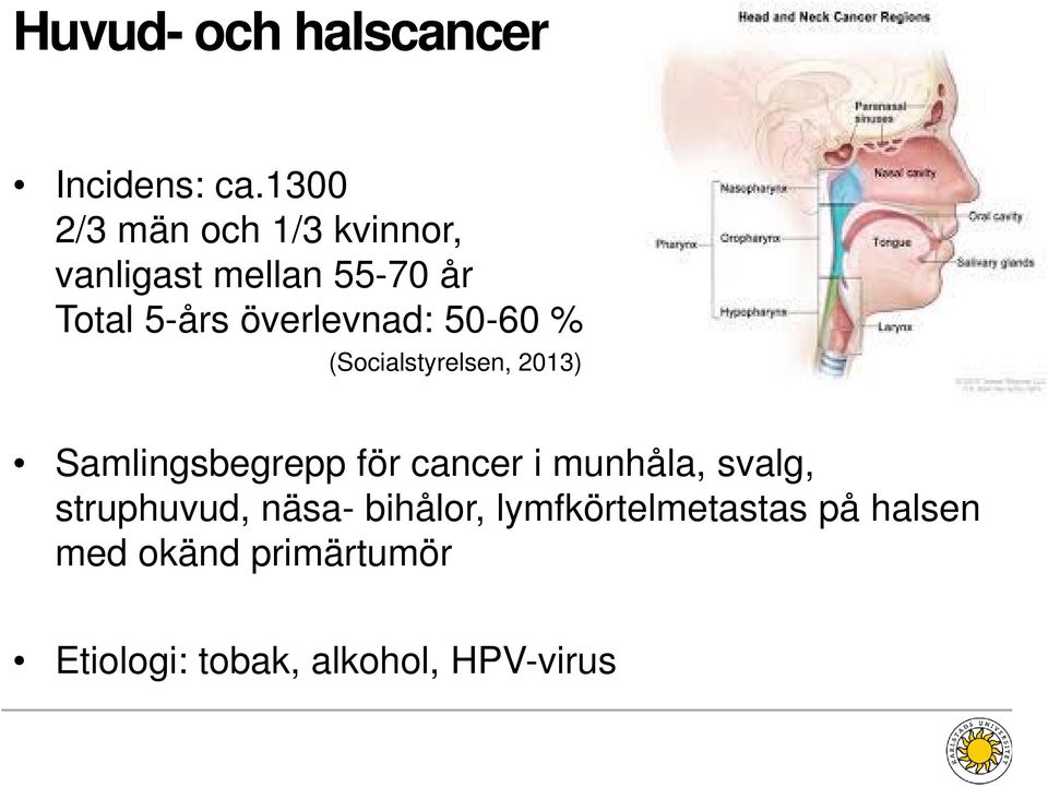 överlevnad: 50-60 % (Socialstyrelsen, 2013) Samlingsbegrepp för cancer i