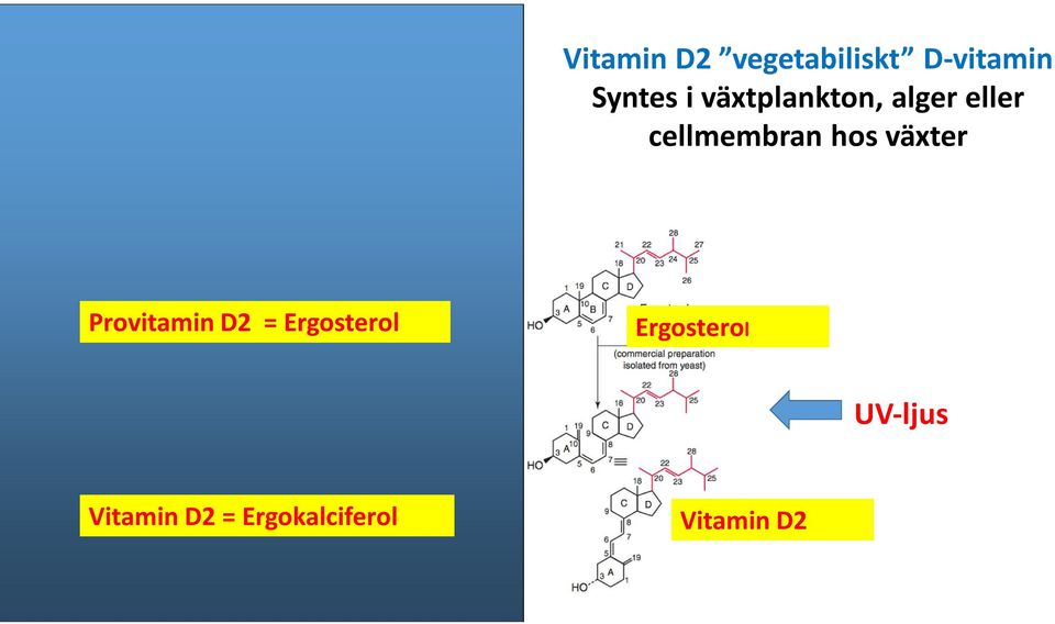 = Ergosterol UV-ljus 7-Dehydrokolesterol Ergosterol UV-ljus