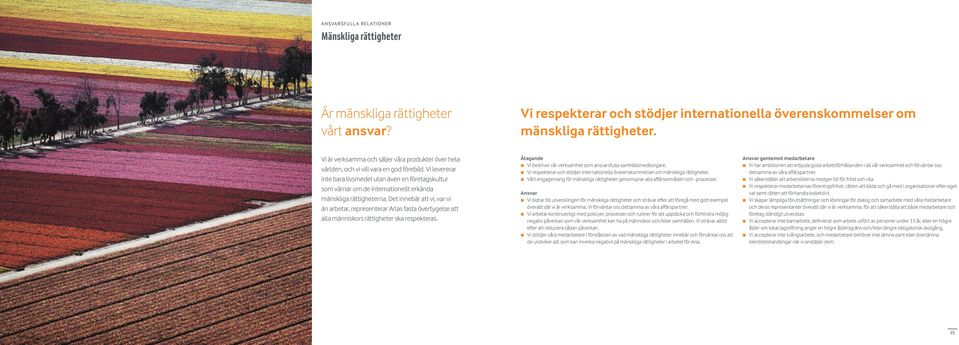 Vi levererar inte bara livsmedel utan även en företagskultur som värnar om de internationellt erkända mänskliga rättigheterna.