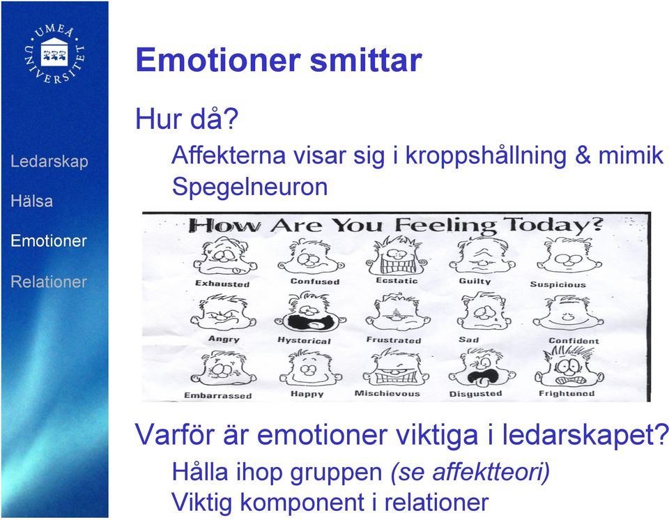 & mimik Spegelneuron Varför är emotioner viktiga