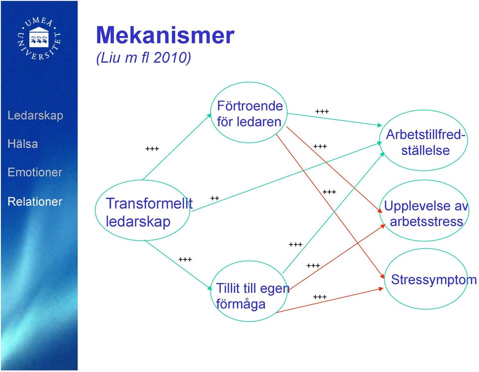 Transformellt ledarskap ++ +++ Upplevelse av