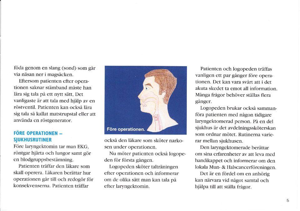 Patienten kan också lära sig tala så kallat matstrupstal eller att anv anda en rö stgeneratof.