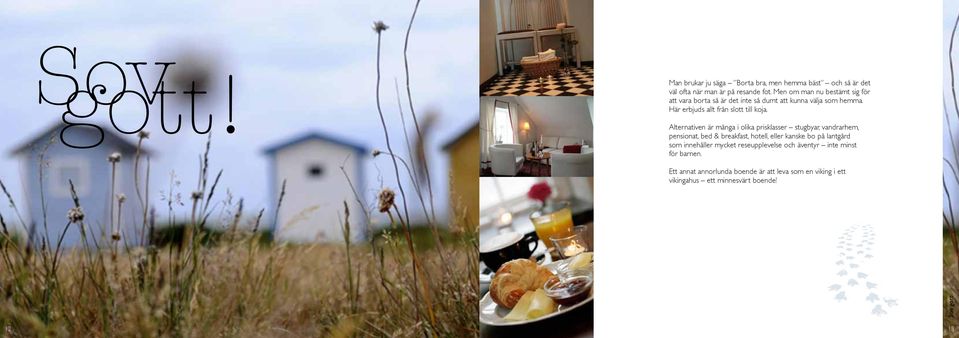 Alternativen är många i olika prisklasser stugbyar, vandrarhem, pensionat, bed & breakfast, hotell, eller kanske bo på lantgård som