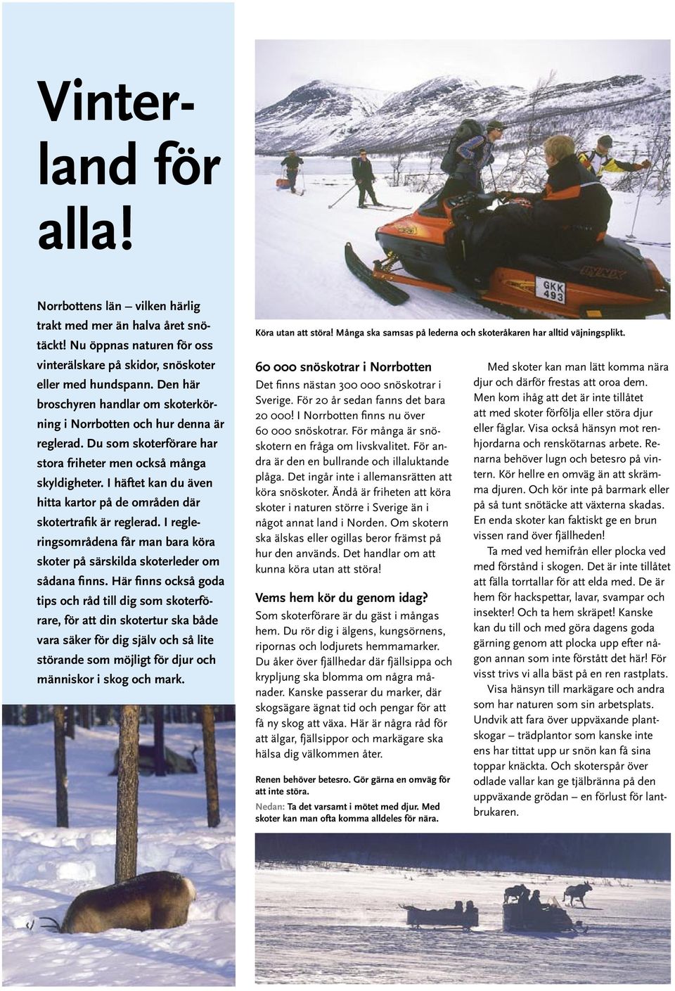 Och kör inte på barmark eller på så tunt snötäcke att växterna skadas. En enda skoter kan faktiskt ge en brun vissen rand över fjällheden! Ta med ved hemifrån eller plocka ved med förstånd i skogen.