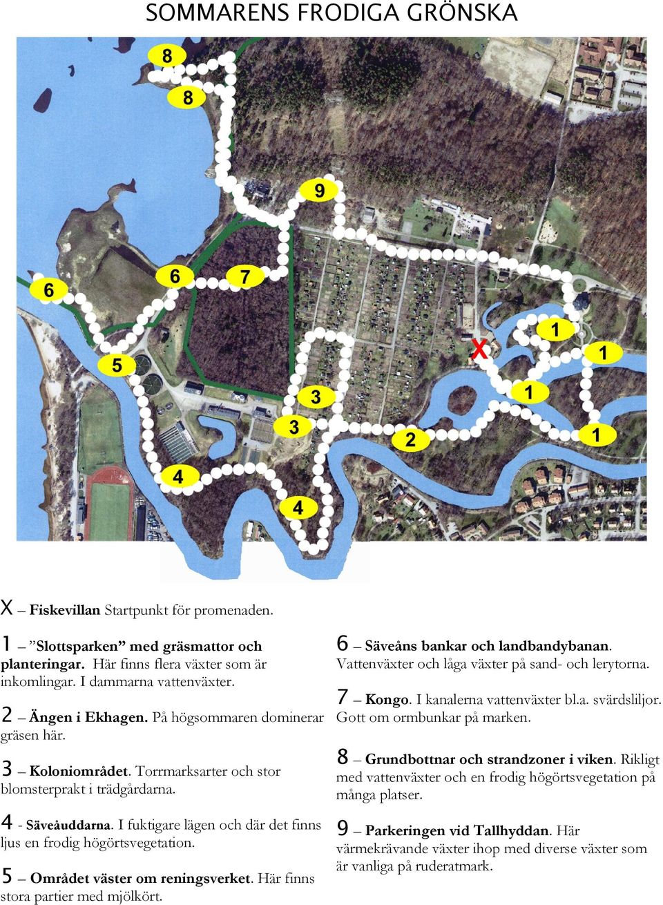 3 Koloniområdet. Torrmarksarter och stor blomsterprakt i trädgårdarna. 8 Grundbottnar och strandzoner i viken. Rikligt med vattenväxter och en frodig högörtsvegetation på många platser.