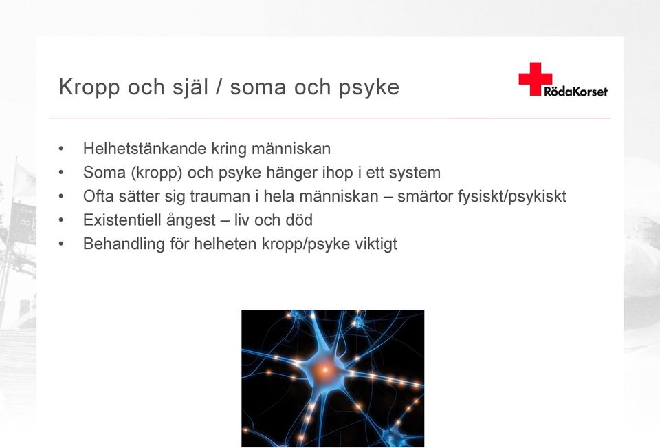 trauman i hela människan smärtor fysiskt/psykiskt Existentiell