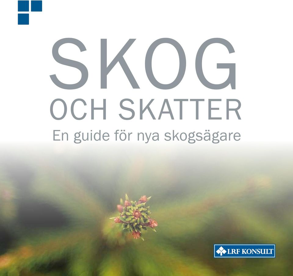 guide för