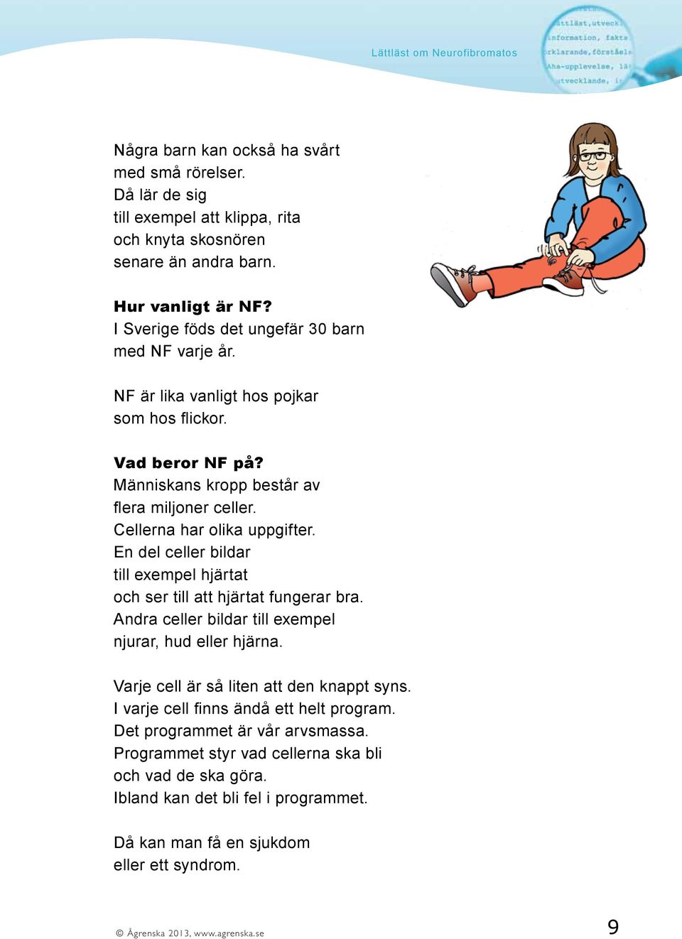 En del celler bildar till exempel hjärtat och ser till att hjärtat fungerar bra. Andra celler bildar till exempel njurar, hud eller hjärna. Varje cell är så liten att den knappt syns.