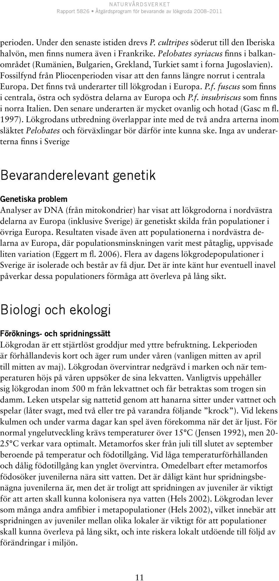 Det finns två underarter till lökgrodan i Europa. P.f. fuscus som finns i centrala, östra och sydöstra delarna av Europa och P.f. insubriscus som finns i norra Italien.