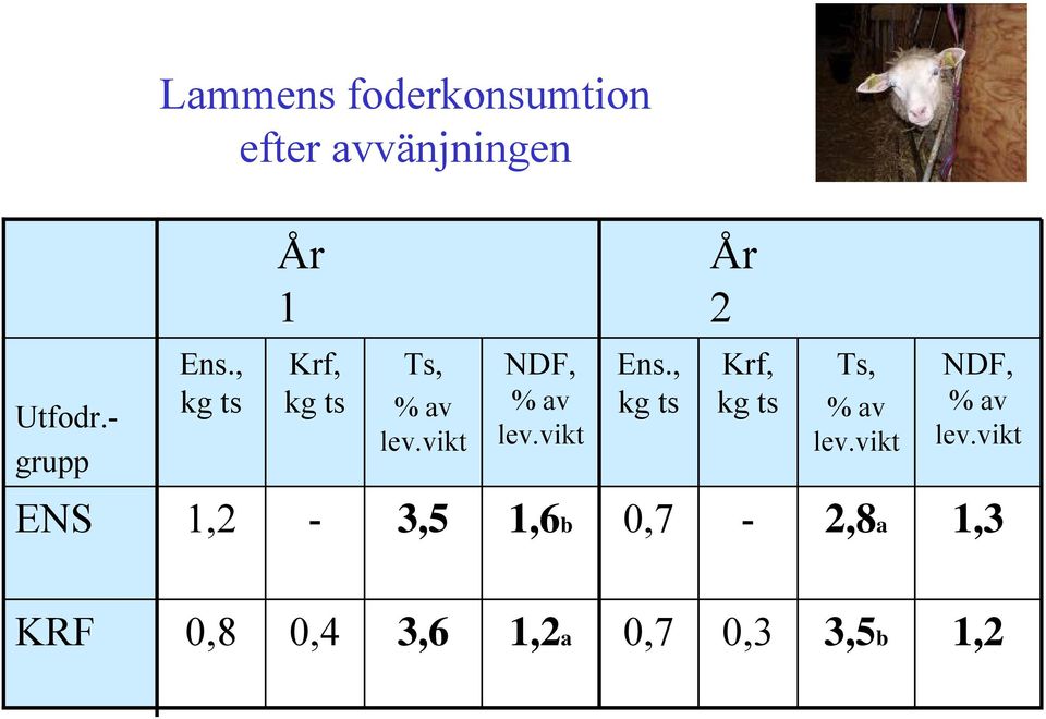 vikt Ens., Krf, Ts, % av lev.vikt NDF, % av lev.