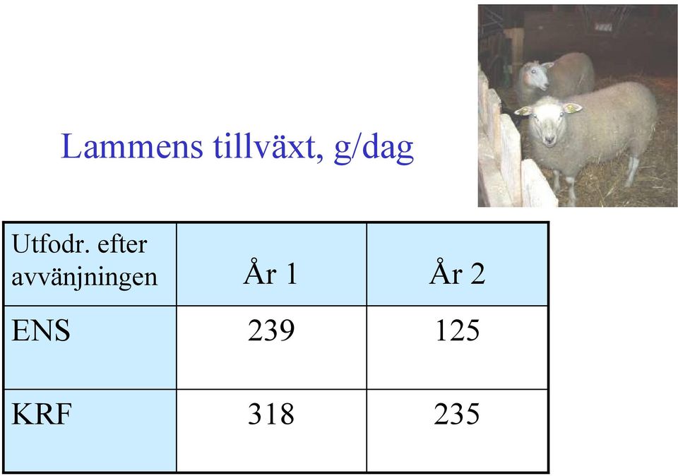 efter avvänjningen