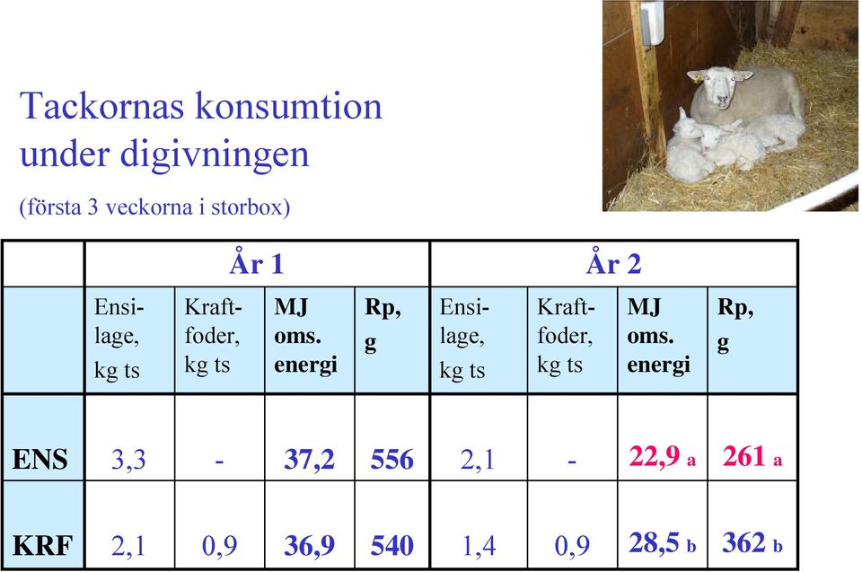 energi Rp, g Kraftfoder, MJ oms.