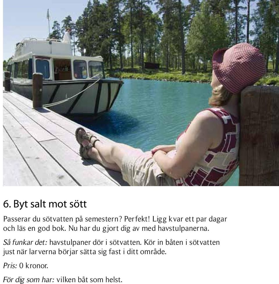 Nu har du gjort dig av med havstulpanerna.